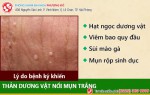 Phòng khám đa khoa Phượng Đỏ