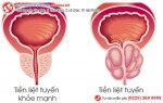 Phòng khám đa khoa Phượng Đỏ
