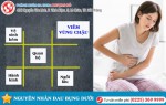 Phòng khám đa khoa Phượng Đỏ
