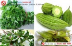 Phòng khám đa khoa Phượng Đỏ
