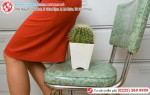 Phòng khám đa khoa Phượng Đỏ