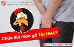 Phòng khám đa khoa Phượng Đỏ