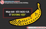 Phòng khám đa khoa Phượng Đỏ