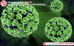 Phòng Khám Phượng Đỏ