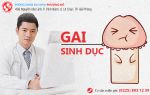 Gai sinh dục ở nam, tỷ lệ mắc bệnh ngày càng cao