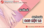 Hột le | mồng đốc | âm vật bị đau là dấu hiệu của bệnh gì?