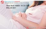 Thai bao nhiêu tuần thì phá được? Giải đáp chi tiết từ bác sĩ chuyên sản khoa