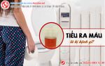 Tiểu ra máu ở phụ nữ là bệnh gì?