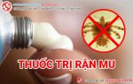Thuốc trị rận mu loại nào tốt và hiệu quả nhất?