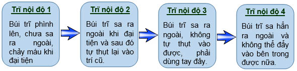 Các cấp độ trĩ nội