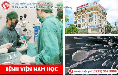 Bệnh viện nam học chất lượng, khám ngoài giờ ở Hải Phòng