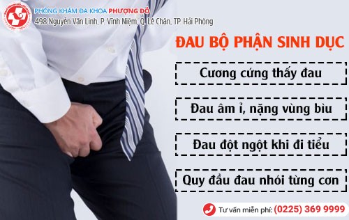 Biểu hiện đau bộ phận sinh dục nam