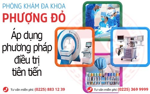 Cách chữa liệt dương Hải Phòng hiệu quả tại Phượng Đỏ