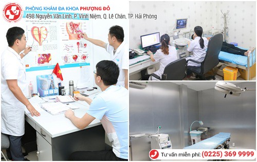 Phượng Đỏ chữa thành công nhiều ca bệnh tinh hoàn