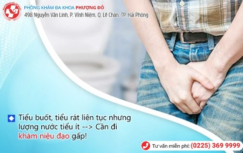 Khám niệu đạo khi nào? Đâu là địa chỉ uy tín ở Hải Phòng?