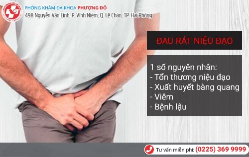 Đau rát niệu đạo là bệnh gì?