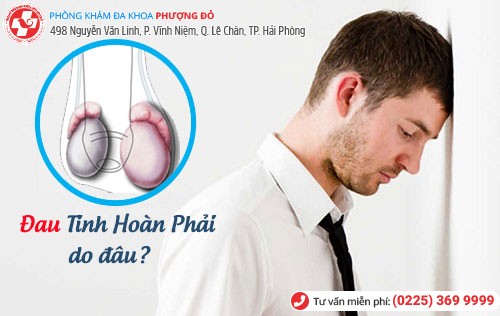 đau tinh hoàn phải do đâu