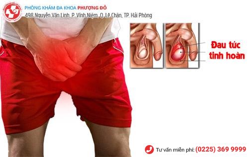 Đau tức tinh hoàn – Dấu hiệu không nên chủ quan