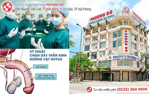 Phượng Đỏ - địa chỉ chữa xuất tinh sớm uy tín ở Hải Phòng