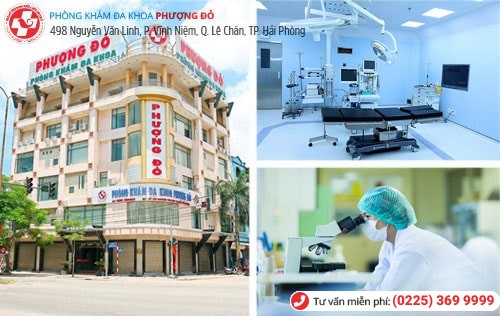 Phượng Đỏ - địa chỉ chữa viêm niệu đạo hiệu quả