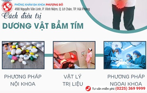 Các phương pháp chữa bao quy đầu bầm tím hiệu quả tại Phòng Khám Phượng Đỏ