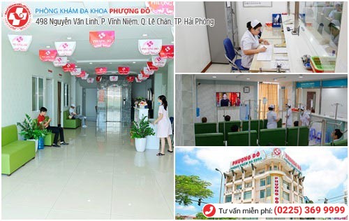 Phượng Đỏ - địa chỉ khám nam khoa tốt nhất Hải Phòng