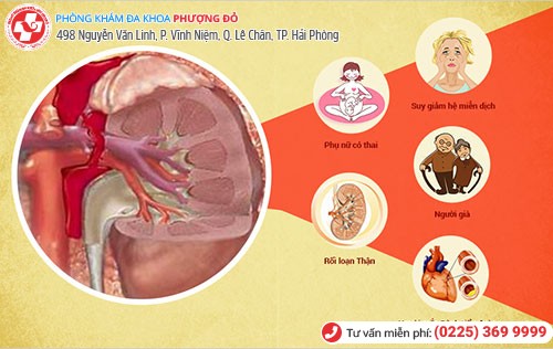 1 số nguyên nhân chính khiến hệ tiết niệu viêm nhiễm