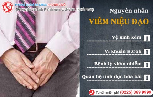 Nguyên nhân viêm niệu đạo