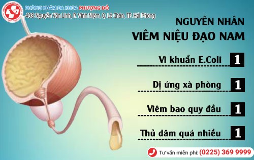 Nguyên nhân viêm niệu đạo nam