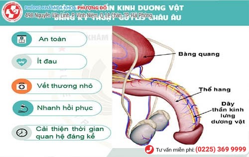 Phương pháp chặn dây thần kinh lưng dương vật chữa xuất tinh sớm hiệu quả