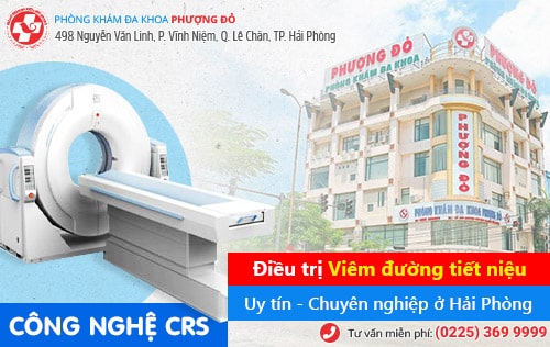 Chữa viêm đường tiết niệu bằng thảo dược