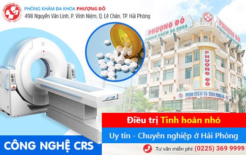 Tinh hoàn nhỏ có bị vô sinh không?