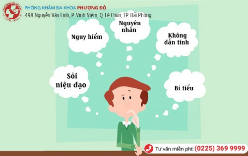 Sỏi niệu đạo