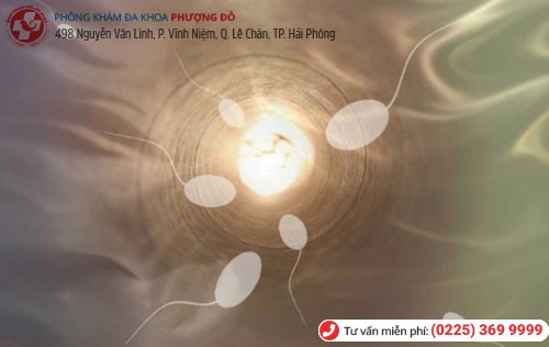 Tinh trùng có mùi hôi tanh làm giảm số lượng, chất lượng tinh trùng