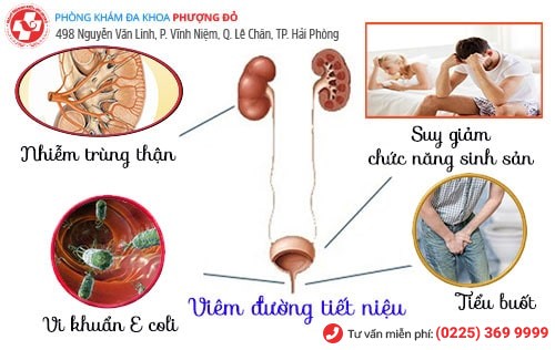 Biến chứng viêm nhiễm đường tiết niệu