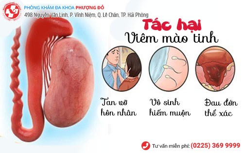 tác hại viêm mào tinh