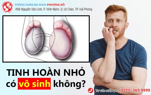 Tinh hoàn nhỏ có bị vô sinh không?