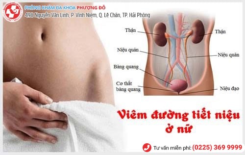 Vô sinh hiếm muộn do viêm đường tiết niệu chiếm tỷ lệ không nhỏ