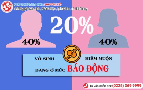 Thống kê vô sinh hiếm muộn