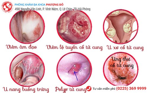 bệnh viện phụ sản Hải Phòng