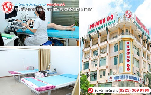 Phượng Đỏ áp dụng các phương pháp chữa bệnh kinh nguyệt hiệu quả