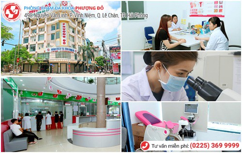 Phượng Đỏ áp dụng các phương pháp tiên tiến chữa nấm