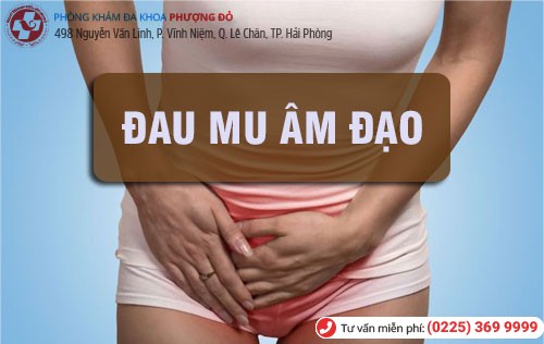 Đau mu âm đạo