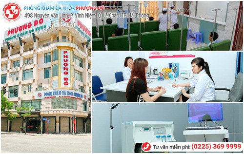 Phượng Đỏ chữa trị bệnh phụ khoa hiệu quả