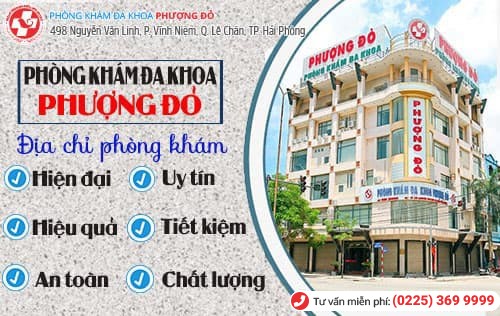 Phượng Đỏ - địa chỉ chữa bệnh phụ khoa uy tín ở Hải Phòng