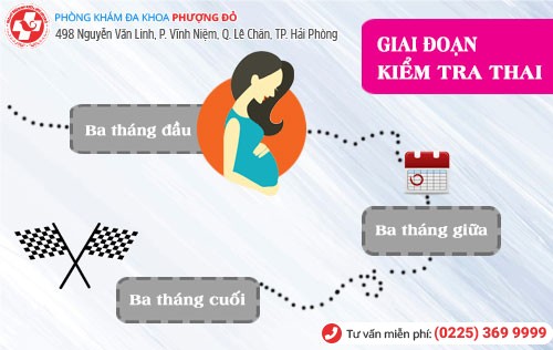 Giai đoạn kiểm tra thai 