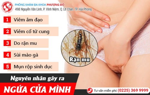 Ngứa cửa mình - Tưởng đơn giản nhưng cực nguy hiểm