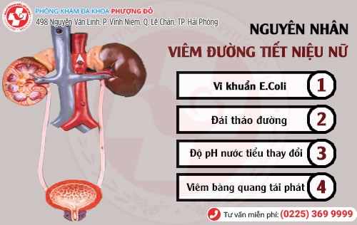 Nguyên nhân viêm đường tiết niệu nữ