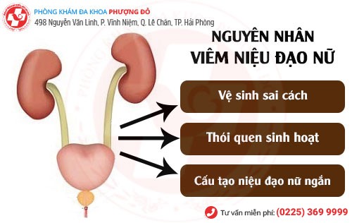 Nguyên nhân viêm niệu đạo nữ