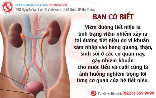 Tổng quan viêm đường tiết niệu nữ